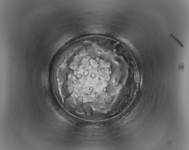X0000091240627200708161736