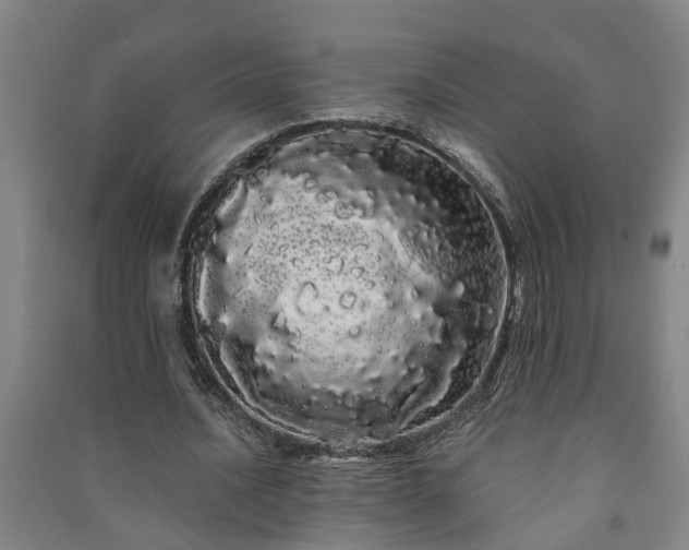 X0000091240628200708161736