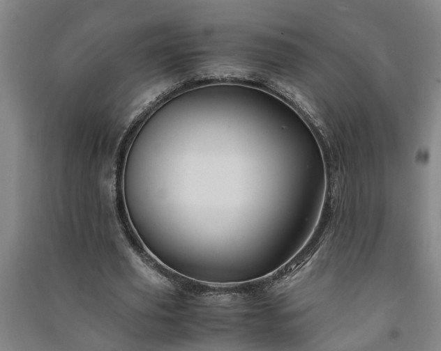 X0000091240629200708161736