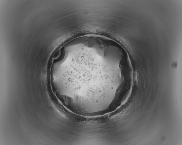 X0000091240630200708161736