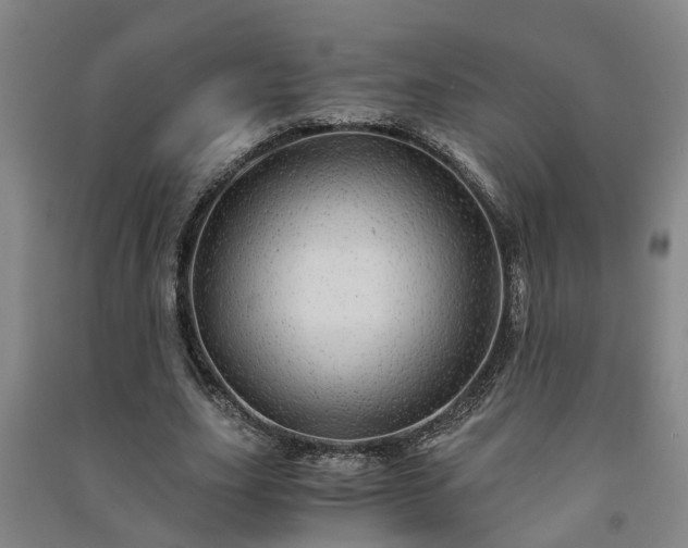 X0000091240631200708161736