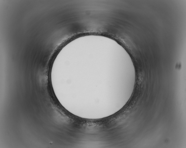 X0000091240632200708161736
