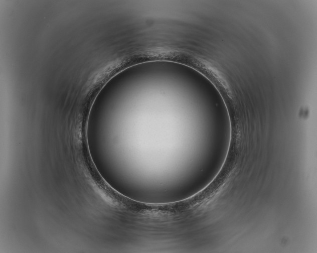 X0000091240633200708161737