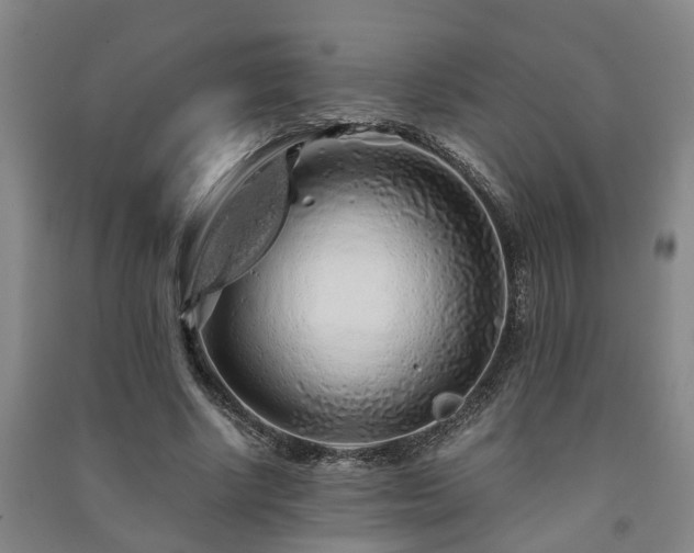 X0000091240634200708161737