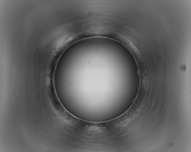 X0000091240635200708161737