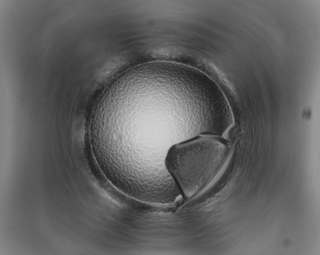 X0000091240637200708161737