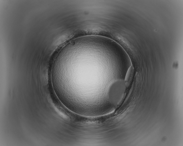 X0000091240638200708161737