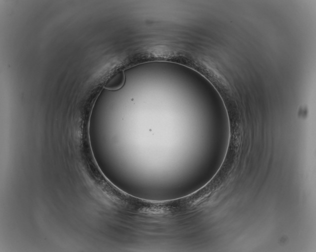 X0000091240639200708161737