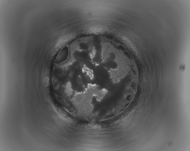X0000091240640200708161737