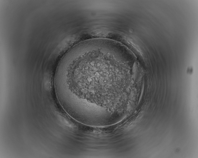 X0000091240641200708161737