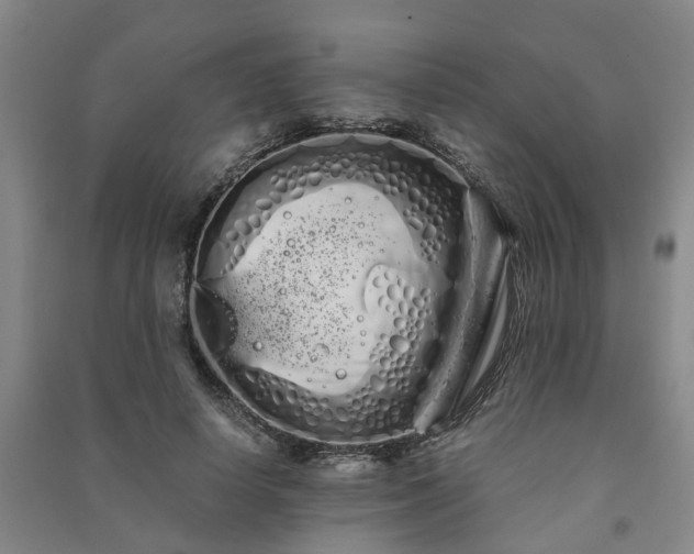 X0000091240642200708161737