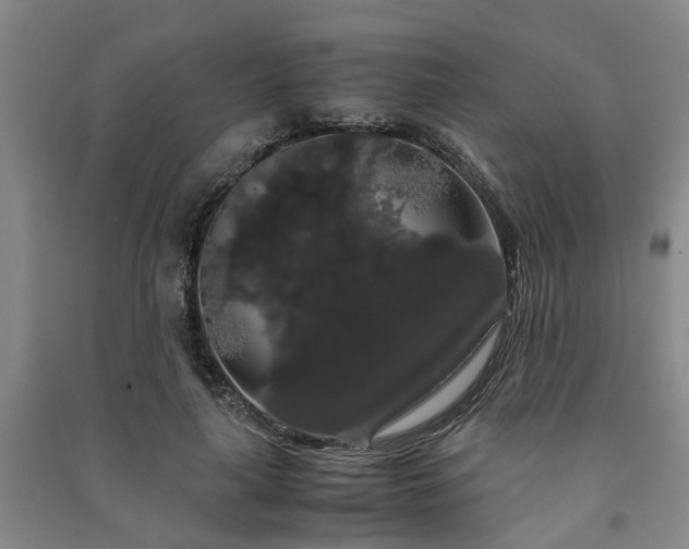 X0000091240643200708161737