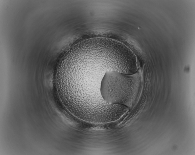 X0000091240644200708161737