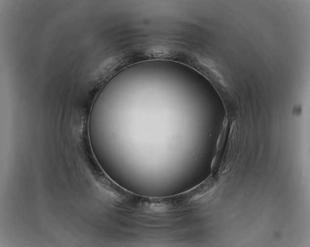 X0000091240645200708161737