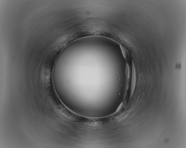 X0000091240646200708161737