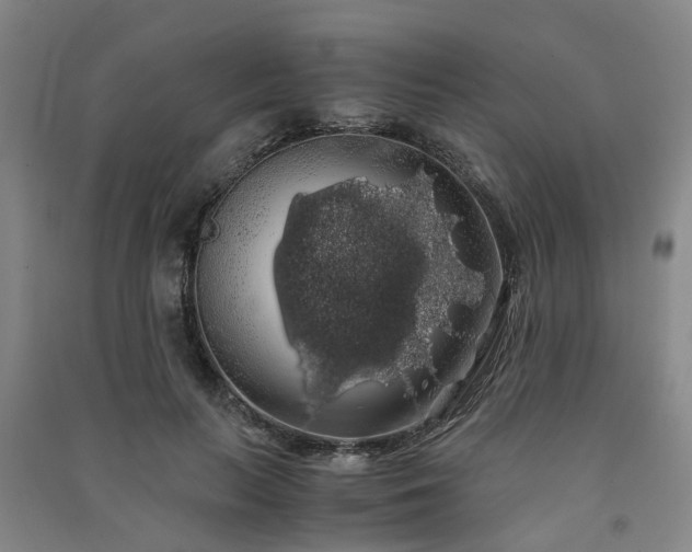 X0000091240647200708161737
