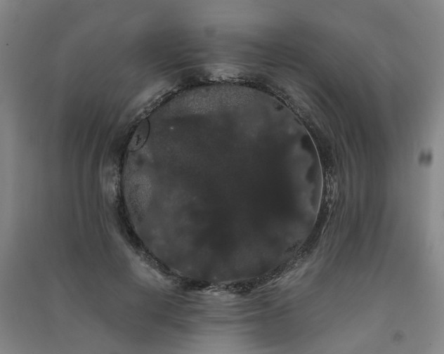 X0000091240648200708161737