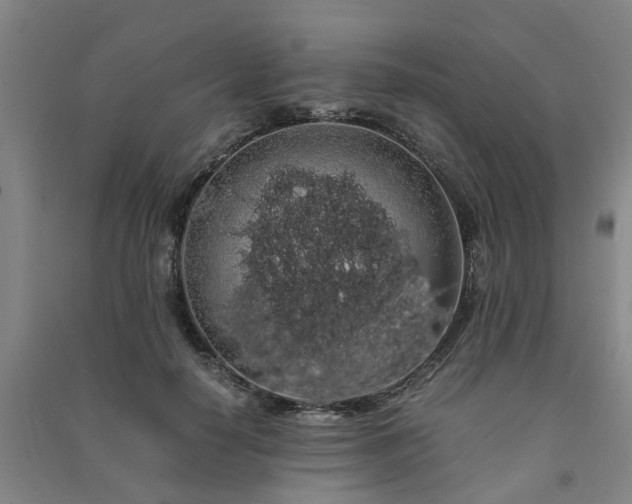 X0000091240650200708161737