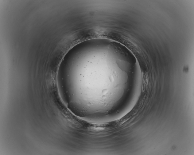 X0000091240651200708161737