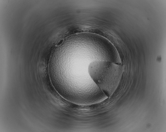 X0000091240653200708161737