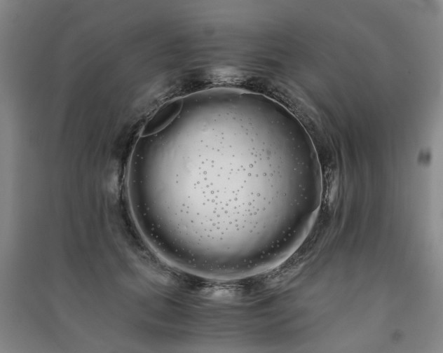 X0000091240655200708161737