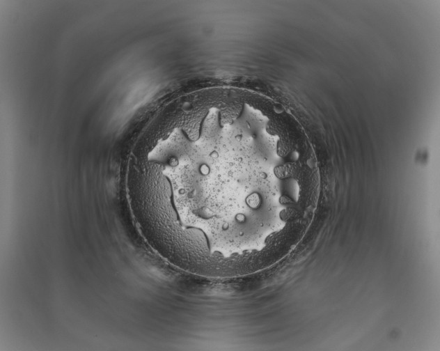 X0000091240656200708161737