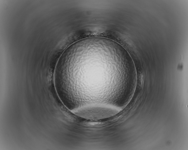 X0000091240657200708161737
