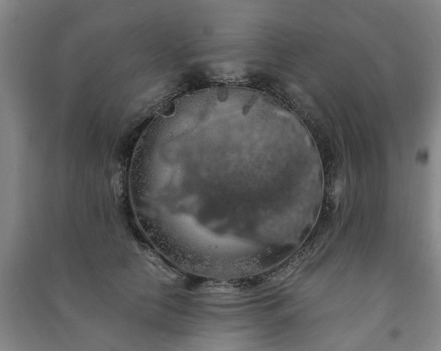 X0000091240658200708161737