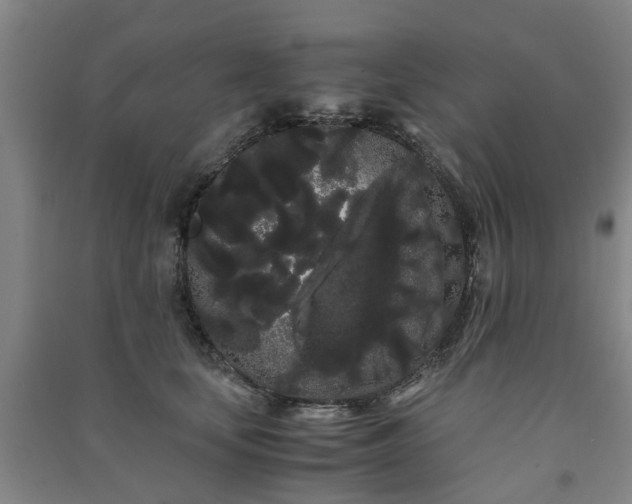 X0000091240659200708161737