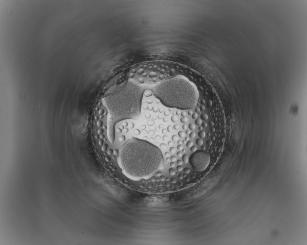 X0000091240660200708161737