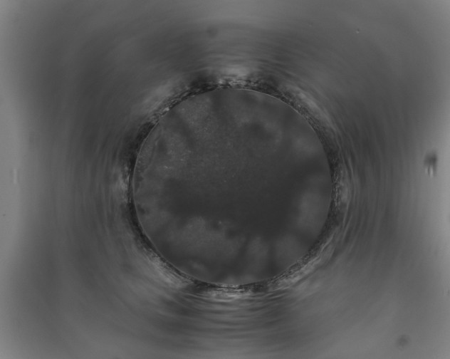 X0000091240661200708161737
