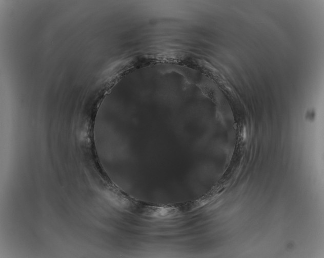 X0000091240663200708161737