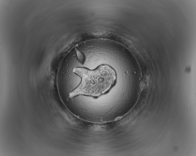 X0000091240664200708161737