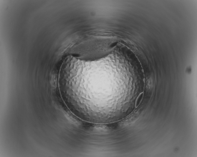 X0000091240666200708161737