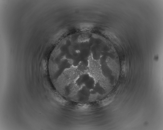 X0000091240667200708161737