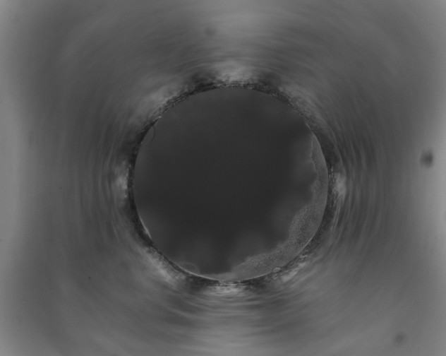 X0000091240668200708161737