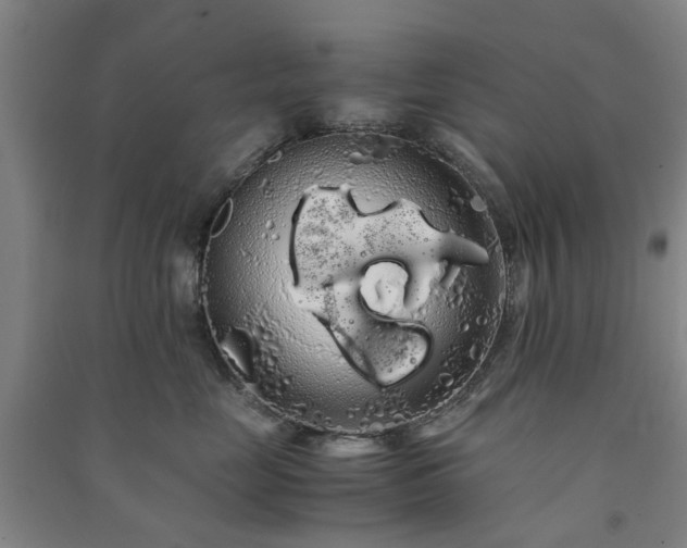 X0000091240669200708161737