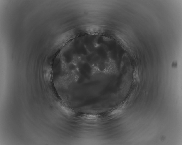 X0000091240671200708161737