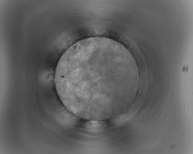 X0000091240672200708161737