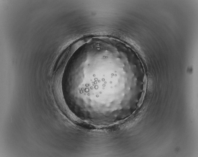 X0000091240673200708161736