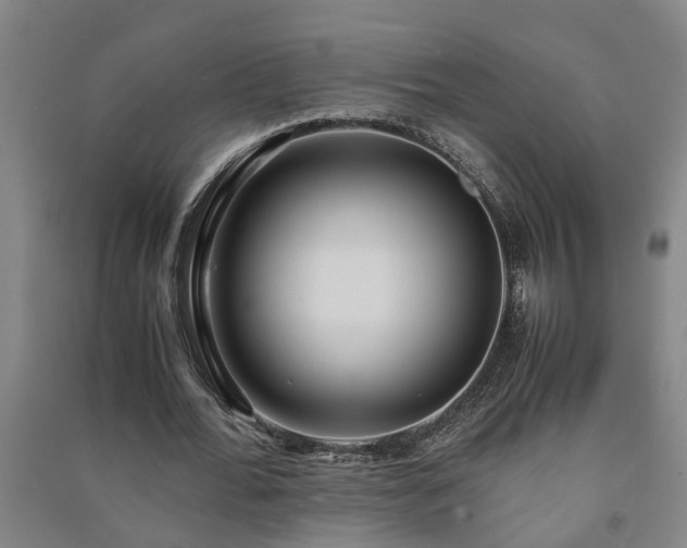 X0000091240676200708161736