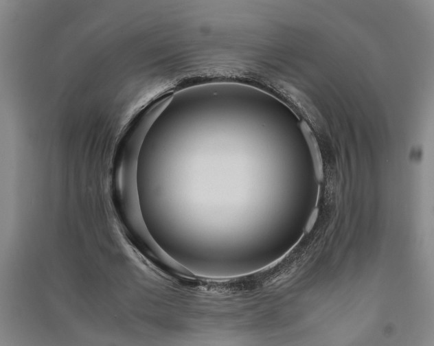 X0000091240677200708161736