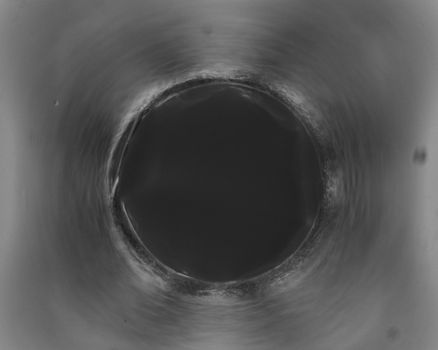 X0000091240678200708161736