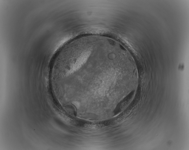 X0000091240679200708161736