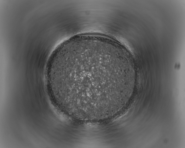 X0000091240680200708161736
