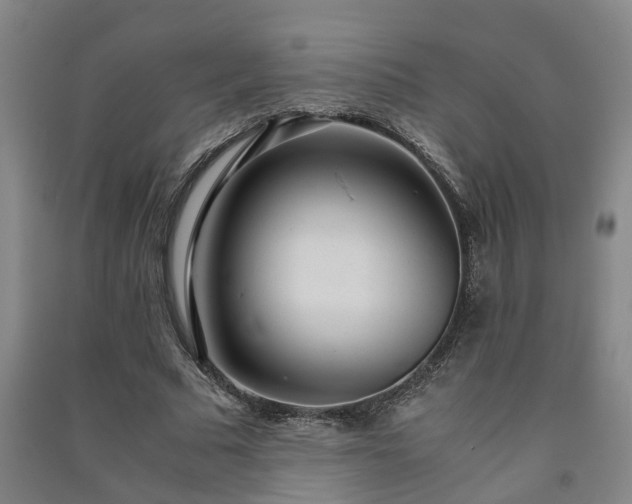 X0000091240681200708161736