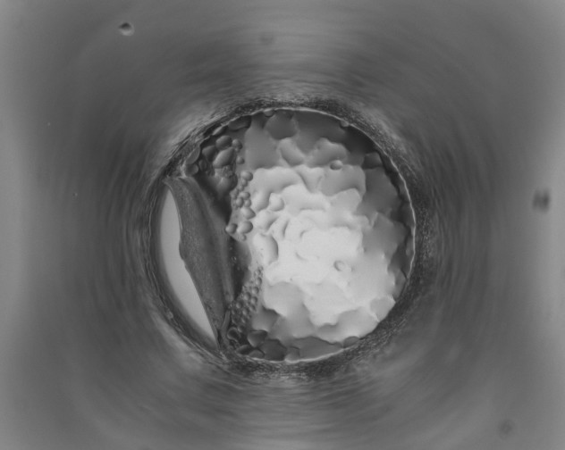 X0000091240683200708161736