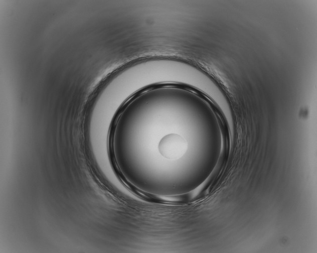X0000091240684200708161736