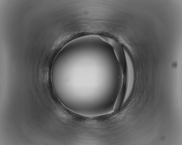 X0000091240685200708161736