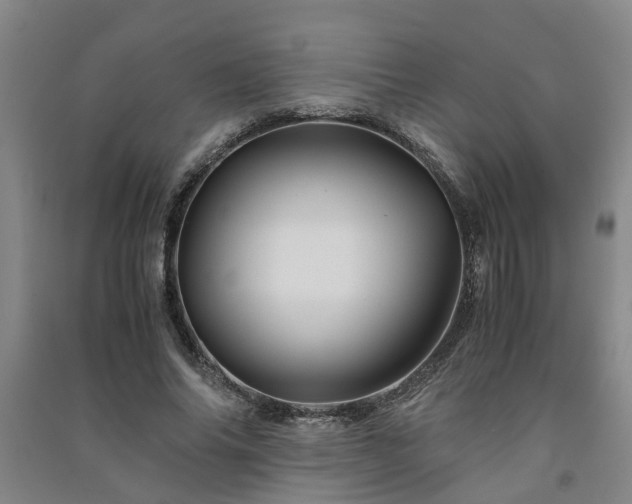 X0000091240686200708161736